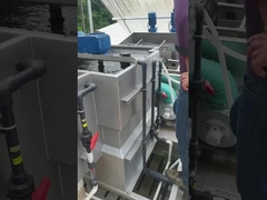 Автоматическое обезвоживание из нержавеющей стали с многодисковым винтовым прессным прессным дегидратором